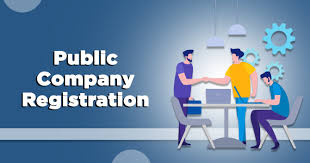 Public Limited Company