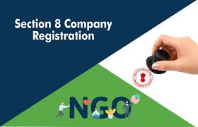 NGO or Section 8 Company IRB